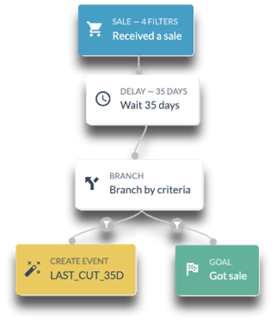 An automation flow diagram with a wait step, a branch and a goal