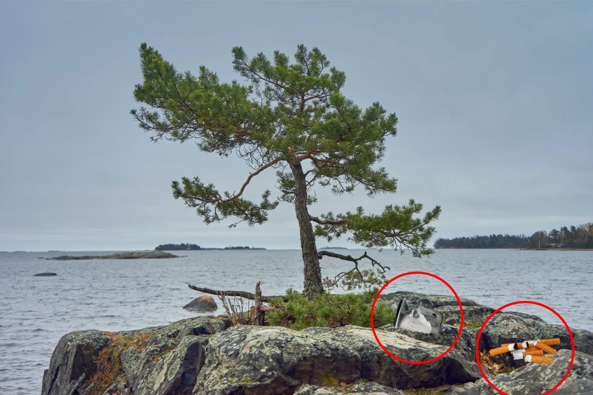 Sama saarimaisema, tölkki ja tupakantumpit ympyröity punaisella