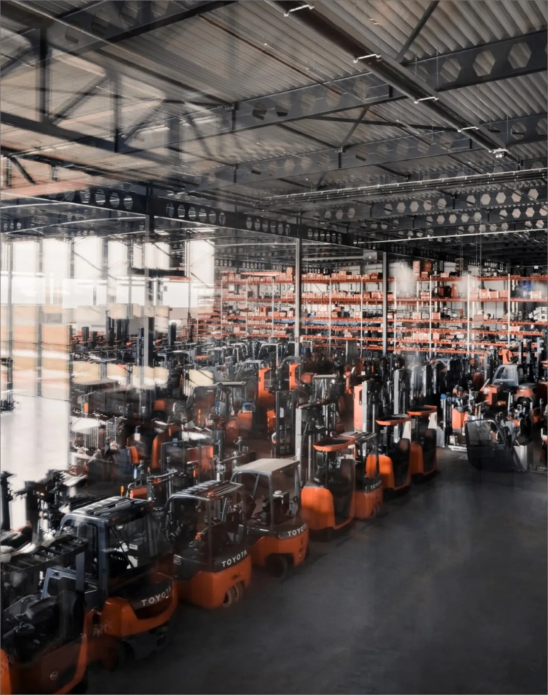 A row of orange Toyota forklifts in a large warehouse